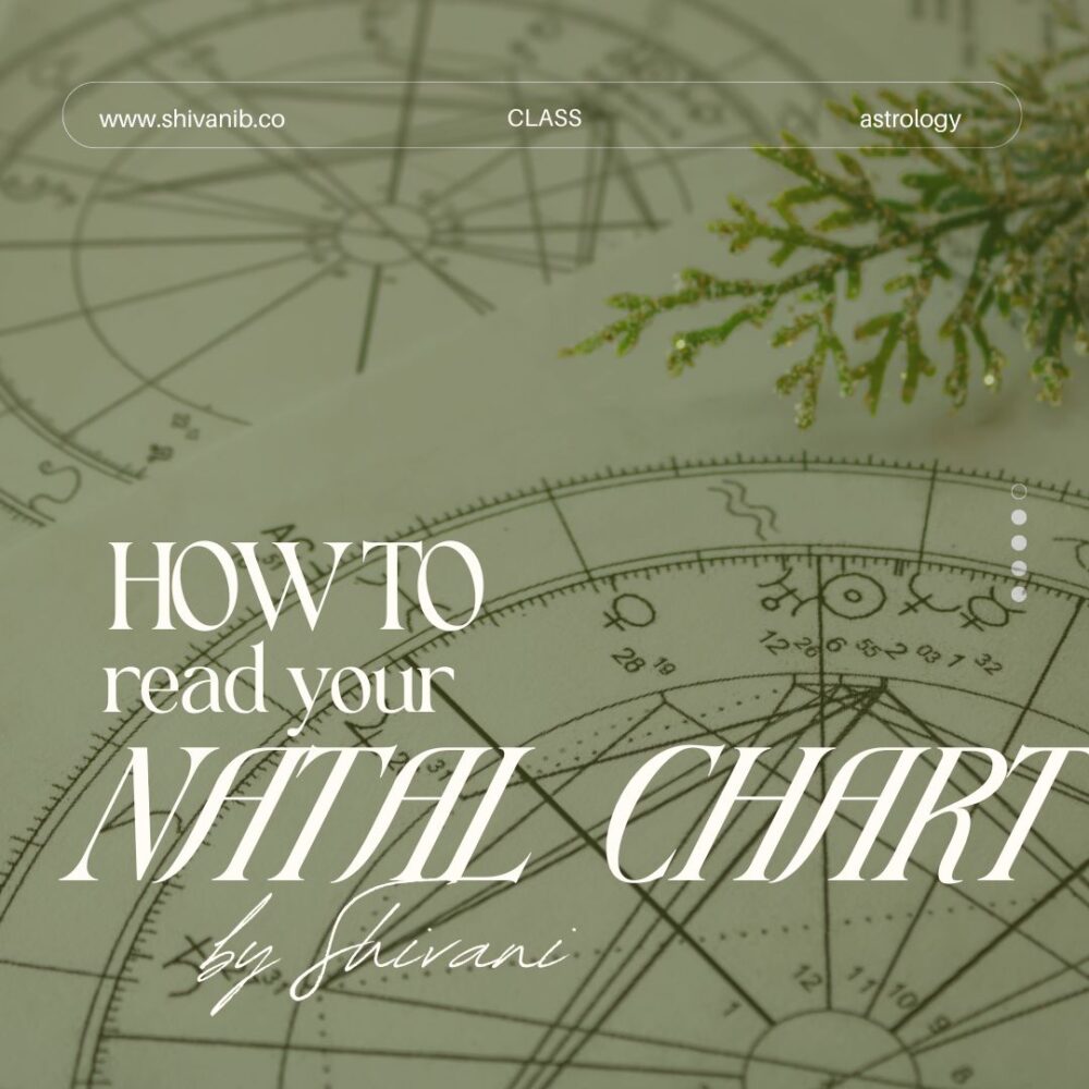 The Houses: A Practical Guide to Astrology’s Living Space